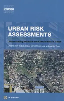 Evaluación de riesgos urbanos - Urban Risk Assessments