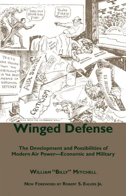 Defensa alada: Desarrollo y posibilidades del poder aéreo moderno - Económico y militar - Winged Defense: The Development and Possibilities of Modern Air Power-Economic and Military