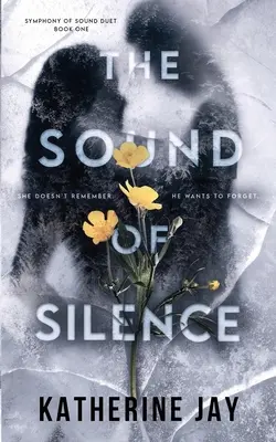 El sonido del silencio - The Sound Of Silence