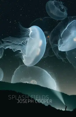 Campos de salpicaduras - Splash Fields