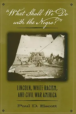 ¿Qué haremos con el negro? Lincoln, el racismo blanco y la guerra civil en Estados Unidos - What Shall We Do with the Negro?: Lincoln, White Racism, and Civil War America