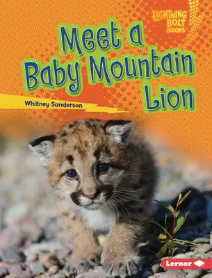 Conozca a una cría de león de montaña - Meet a Baby Mountain Lion