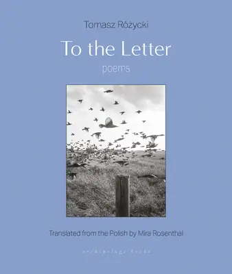 Al pie de la letra: Poemas - To the Letter: Poems