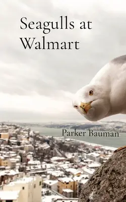 Gaviotas en Walmart - Seagulls at Walmart