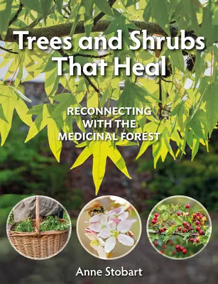 Árboles y arbustos que curan: Reconectar con el bosque medicinal - Trees and Shrubs That Heal: Reconnecting with the Medicinal Forest