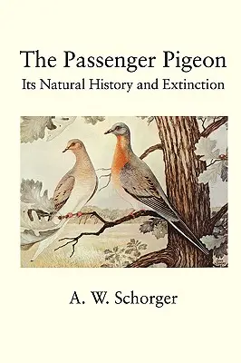 La paloma mensajera - The Passenger Pigeon