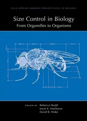 Control del tamaño en biología: De los orgánulos a los organismos - Size Control in Biology: From Organelles to Organisms