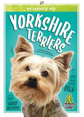 Terriers de Yorkshire - Yorkshire Terriers