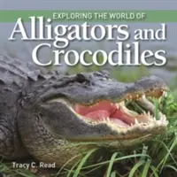 Explorando el mundo de los caimanes y los cocodrilos - Exploring the World of Alligators and Crocodiles