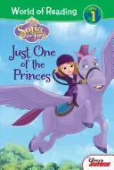 Sofía la Primera: Sólo uno de los príncipes - Sofia the First: Just One of the Princes