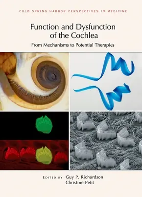 Función y disfunción de la cóclea: De los Mecanismos a las Terapias Potenciales - Function and Dysfunction of the Cochlea: From Mechanisms to Potential Therapies
