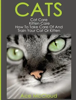 Gatos: Cuidado de Gatos: Cuidado de los gatitos: Cómo cuidar y educar a su gato o gatito - Cats: Cat Care: Kitten Care: How To Take Care Of And Train Your Cat Or Kitten