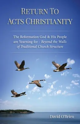 Volver a Hechos Cristianismo: La Reforma que Dios y Su Pueblo Anhelan - Más Allá de los Muros de la Estructura Tradicional de la Iglesia - Return To Acts Christianity: The Reformation God & His People are Yearning for - Beyond the Walls of Traditional Church Structure