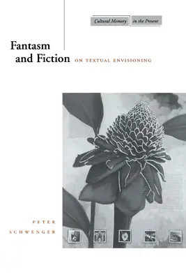 Fantasía y ficción: Sobre la visión textual - Fantasm and Fiction: On Textual Envisioning
