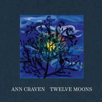 Ann Craven Doce Lunas - Ann Craven: Twelve Moons