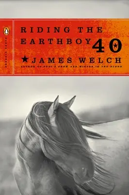 A lomos del Earthboy 40 - Riding the Earthboy 40