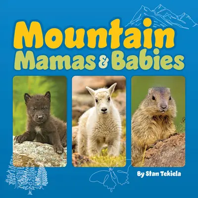 Mamás y bebés de montaña - Mountain Mamas & Babies