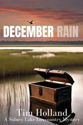 Lluvia de diciembre - December Rain