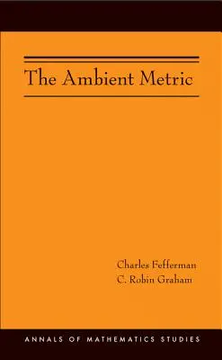 La métrica ambiental - The Ambient Metric