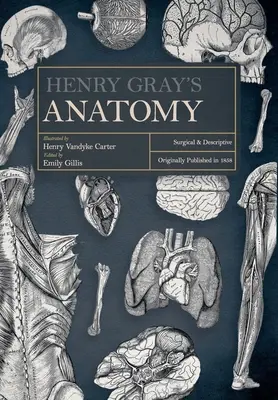 Anatomía de Henry Gray: quirúrgica y descriptiva - Henry Gray's Anatomy: Surgical and Descriptive