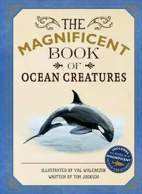 El magnífico libro de las criaturas del océano - The Magnificent Book of Ocean Creatures