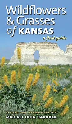 Flores silvestres y gramíneas de Kansas: Guía de campo, edición revisada y ampliada - Wildflowers and Grasses of Kansas: A Field Guide, Revised and Expanded Edition