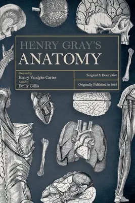 Anatomía de Henry Gray: quirúrgica y descriptiva - Henry Gray's Anatomy: Surgical and Descriptive