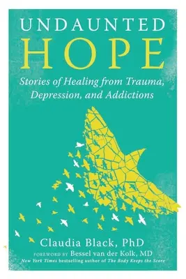 Esperanza indomable: Historias de curación de traumas, depresión y adicciones - Undaunted Hope: Stories of Healing from Trauma, Depression, and Addictions