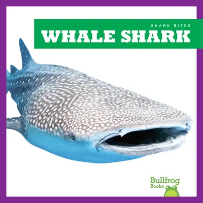 Tiburón ballena - Whale Shark