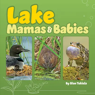 Mamás y bebés del lago - Lake Mamas & Babies