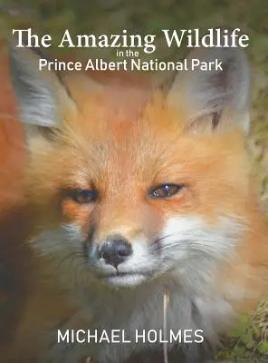 La asombrosa fauna del Parque Nacional Prince Albert - The Amazing Wildlife in the Prince Albert National Park